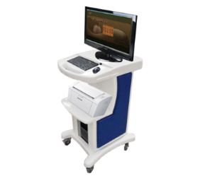 ���t�w�|�W�đ���